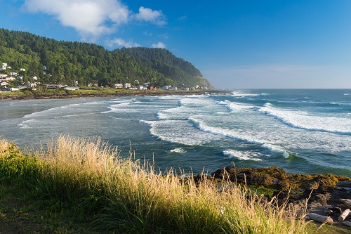A cliff with grass in the foreground. Ocean and sandy beach in the middle. In the background a hill covered in trees. 