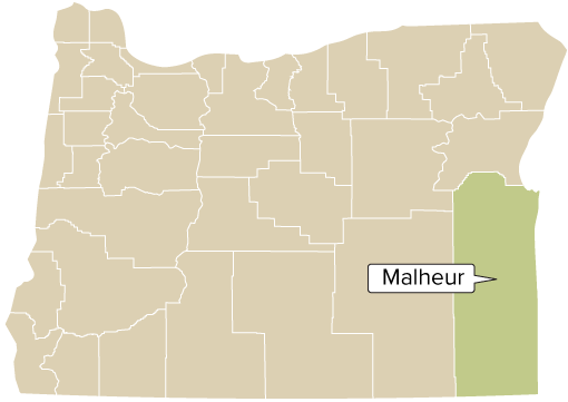 Oregon county map with Malheur County shaded