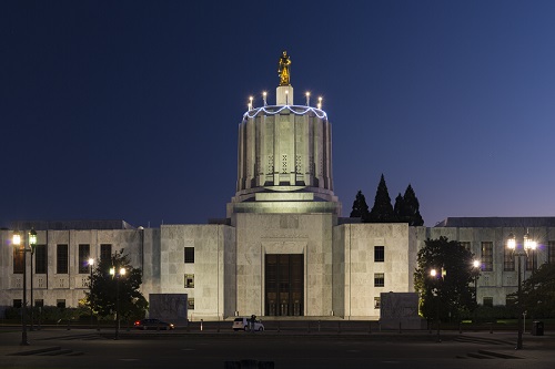 state capitol lit up at night