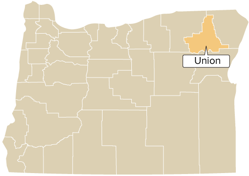 Oregon county map with Union County shaded