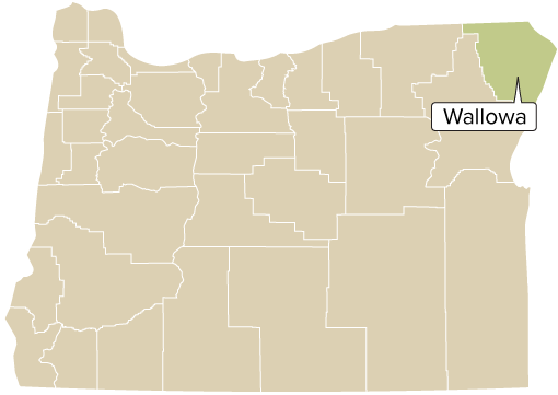 Oregon county map with Wallowa County shaded