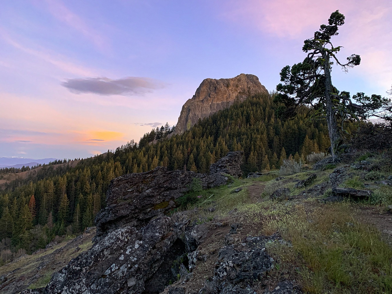 Rocky foreground leading to a sloping hillside covered in dense evergreen forest, with a large rugged rock formation rising prominently in the center.
