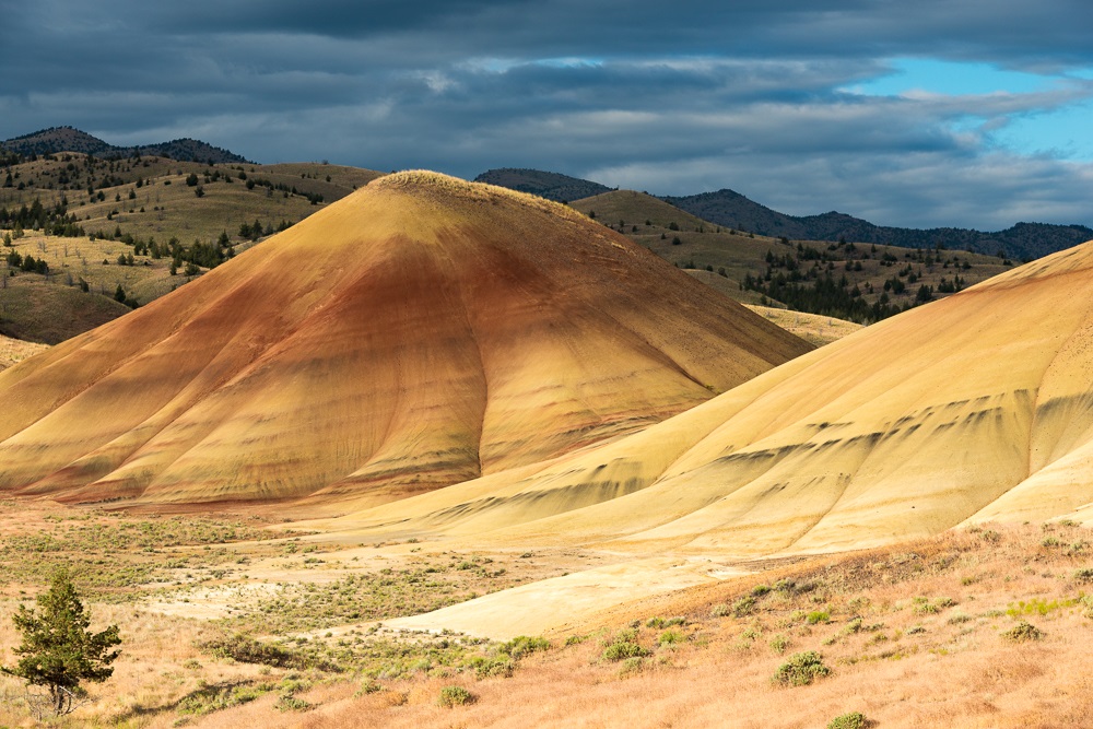 A landscape of smooth, rounded hills in the Painted Hills area, showing striking bands of yellow, gold, and deep red soil under a cloudy sky.