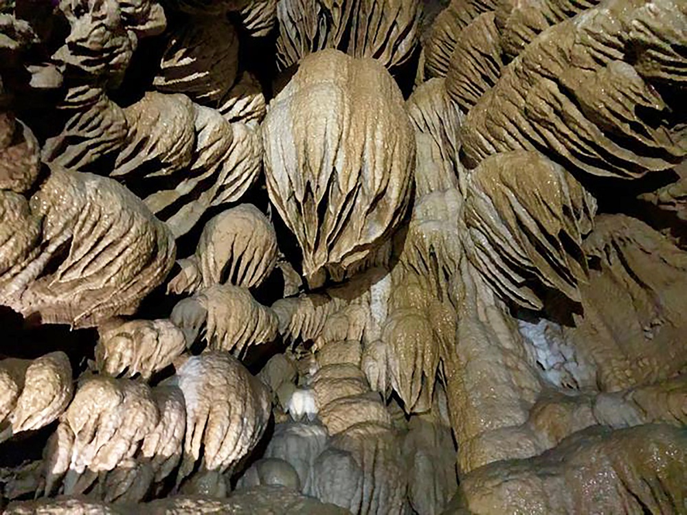 View inside the Oregon Caves showing a cluster of large, layered mineral formations hanging from the cave ceiling. The formations resemble rounded, draped sheets of stone with deep vertical ridges, tightly packed together and illuminated to reveal their rough, textured surfaces.