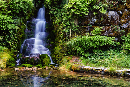 A small waterfall flows gently over moss‑covered rocks into a clear, shallow pool surrounded by lush green ferns and dense vegetation.