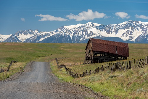 A gravel road winds through open grassland toward a backdrop of snow‑covered mountains. An old wooden barn with a rusted metal roof leans noticeably to one side beside the road.