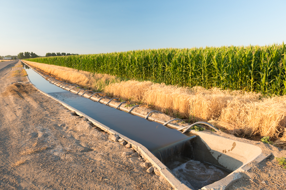 a straight irrigation ditch carrying clear water through a dry, grassy field.