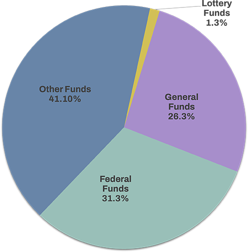 Pie chart shows Federal Funds 31.3%, General Funds 26.3%, Other funds 41.10%, Lottery Funds 1.3%