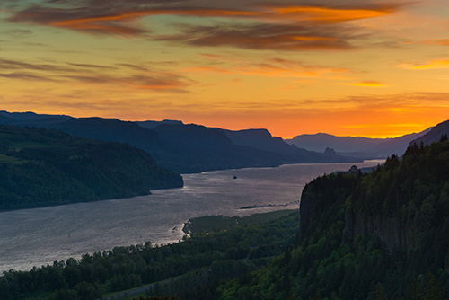 A panoramic view of the Columbia River winding through a deep, forested canyon at sunset.