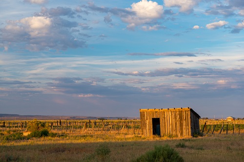 A small wood shed approximately 12 feet square with a rectangular opening for the door sits in a field.