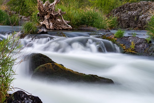 white rapids
