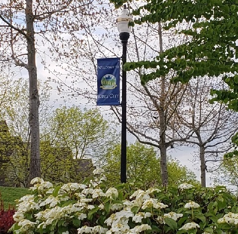 a lamp post in a park with a banner reading Welcome to King City. A flowering shrub in front on a spring day.
