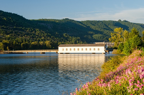 A covered bridge seen from the side from a far bank on calm water. Wild flowers grow on the bank for the water body.