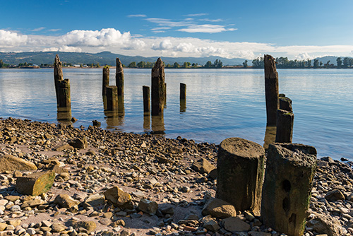Rocky shore line of a river with decayed wood posts in the water.