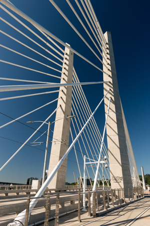a cable-stayed bridge across the Willamette River