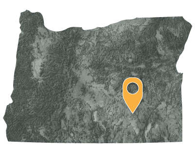 Oregon map with point indicating the location of the Burn Paiute Reservation in the southeast section.