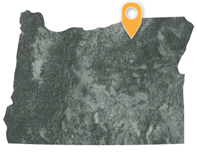 Oregon map with pointer showing location of the confederated tribes of the Umatilla Indian Reservation in the northeast quadrant