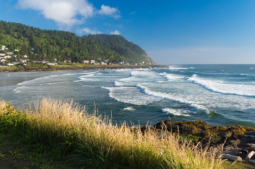 A cliff with grass in the foreground. Ocean and sandy beach in the middle. In the background a hill covered in trees.