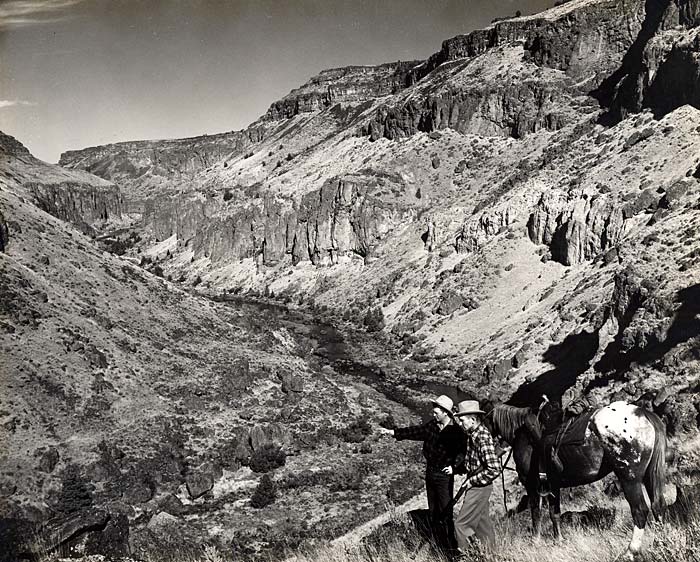 Two men with a horse look out over Owyhee Canyon.