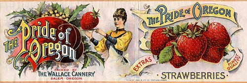 Drawing of woman holding tray with abnormally large strawberry. Strawberry is bigger than her head. Next to bunch of berries.