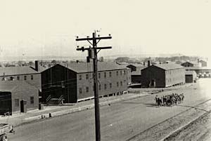 Photo of many large buildings, a telephone pole and no trees in sight. 