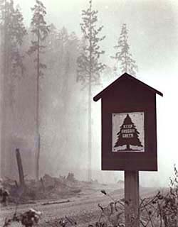 A smoky forest background with a sign on the side of the road that says "Keep oregon Green."