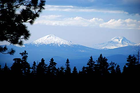 Two snow capped mountains seen in the distance with evergreen trees closer to viewer.