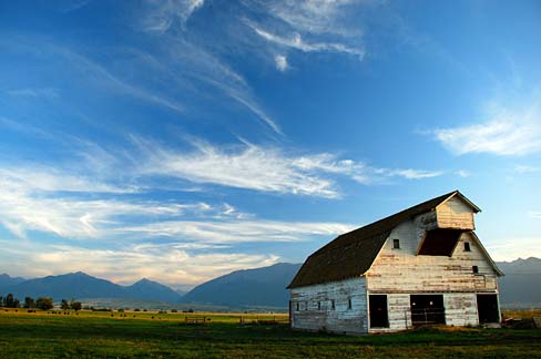 A weathered barn stands in a field with whispy clouds overhead in a blue sky. 