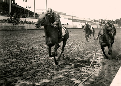 Horses race on a muddy track