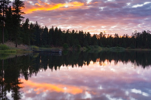 reflection of trees and sunset on lake