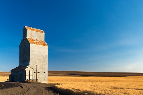 grain elevator next to wheat field