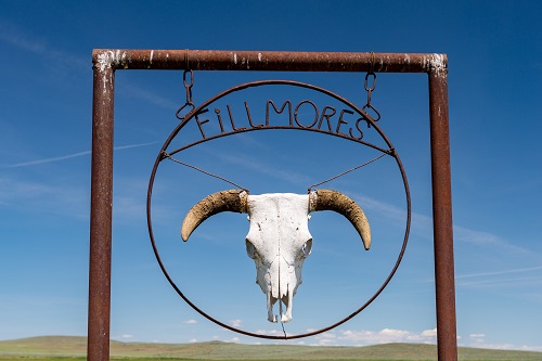 ranch sign with cow skull on it