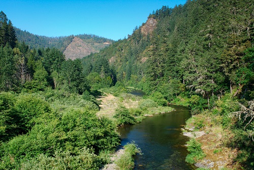 Cow Creek and evergreen trees