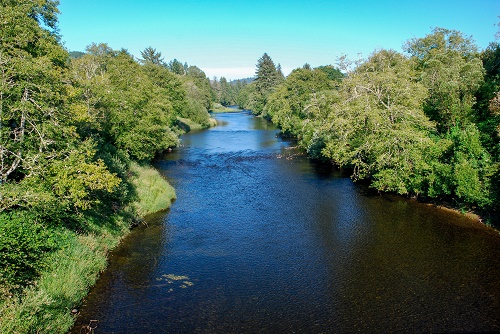 Siletz River surrounded by evergreen trees